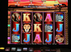 ledong网页版入口正式版