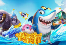 ledong网页版入口最新版