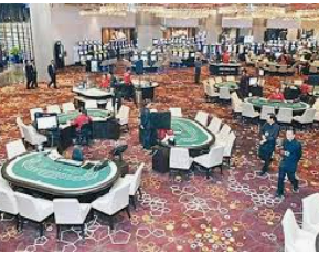 ledong网页版入口免费版