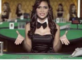 ledong网页版入口最新版